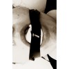 MAGNETIC TAPE MOUTH GAG "s/t" tape